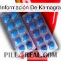 Información De Kamagra viagra2